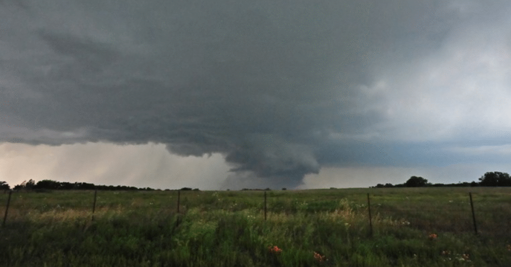Chuvas irregulares e altas temperaturas impactam cultivos em algumas regiões • Portal DBO