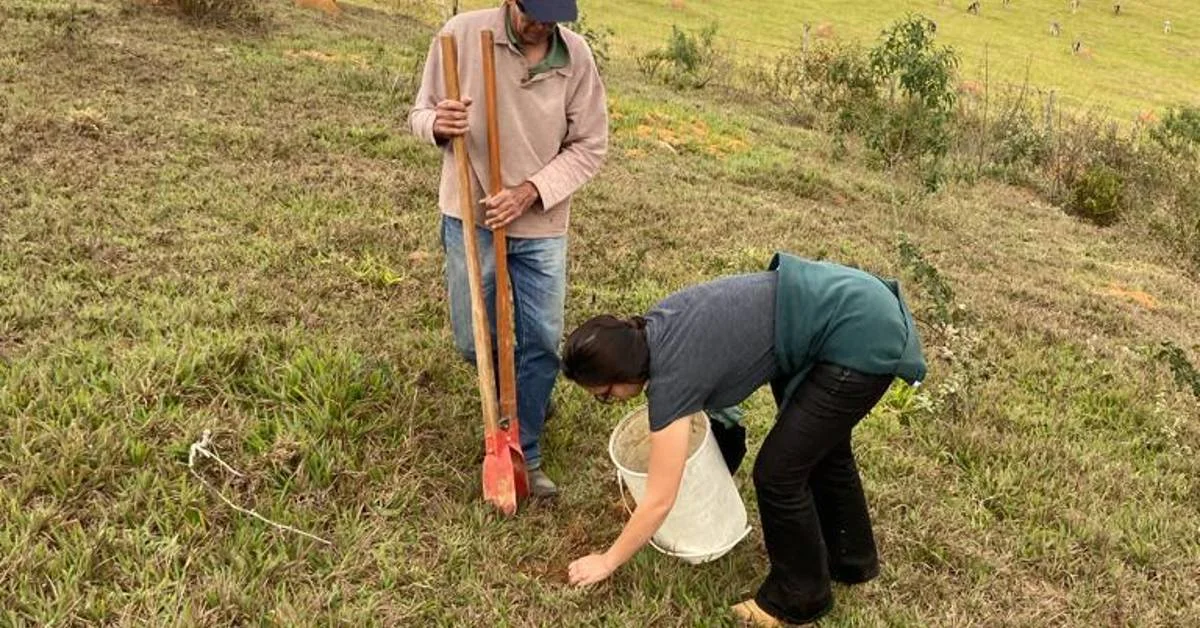 Projeto inovador recupera solo na Zona da Mata! 6 Emater-MG desenvolve projeto de recuperação de solo na Zona da Mata • Portal DBO