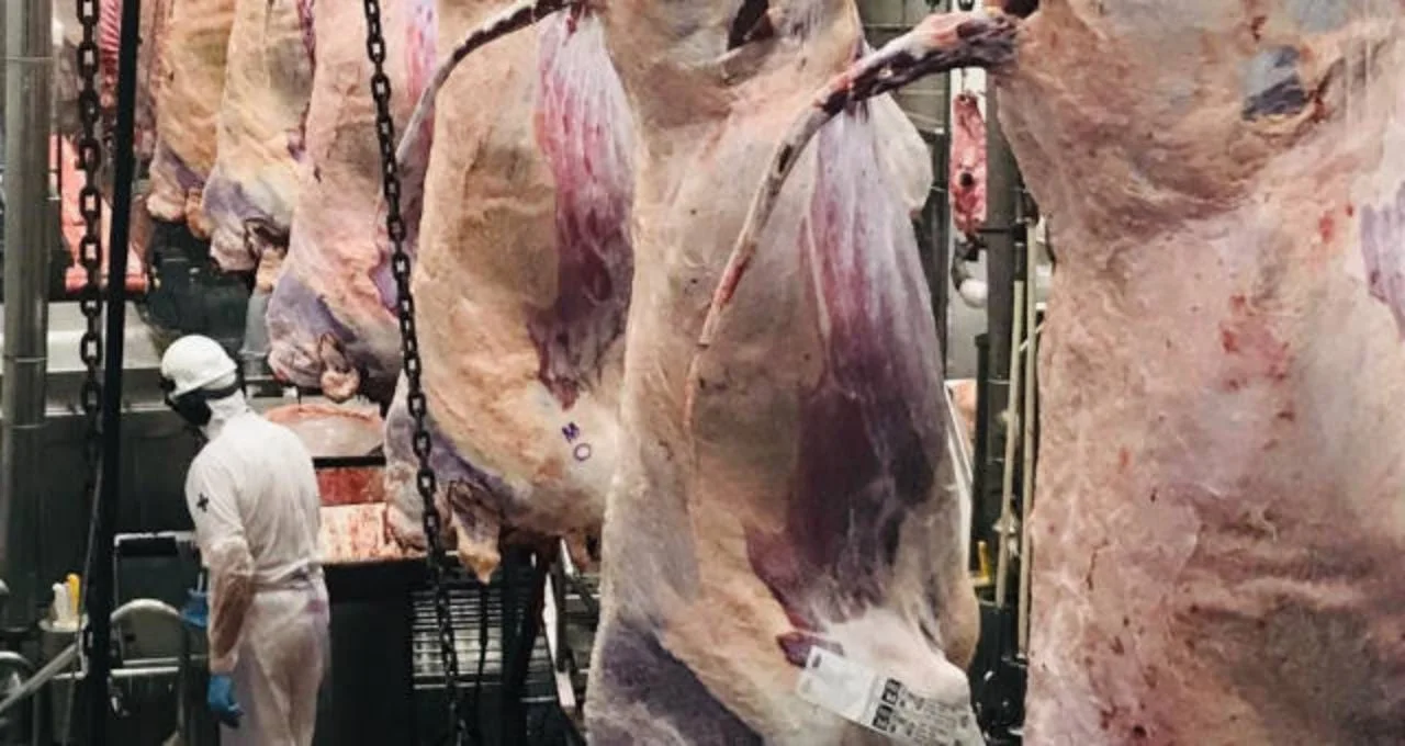 Até onde vai a pressão dos frigoríficos no mercado? – Money Times