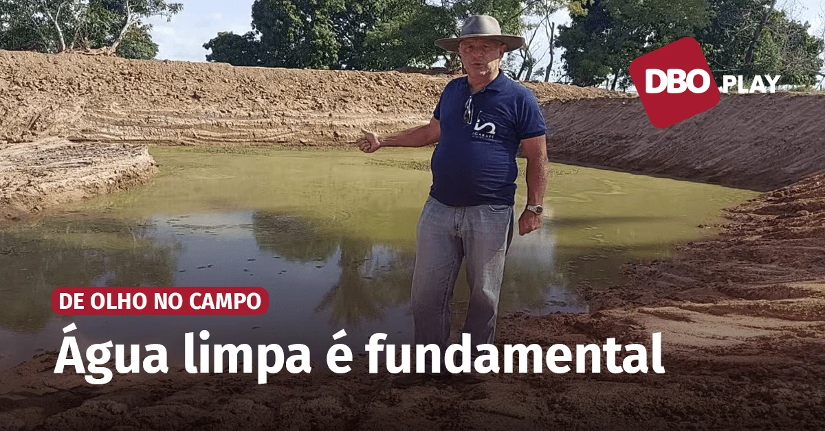 A importância da qualidade da água para o gado