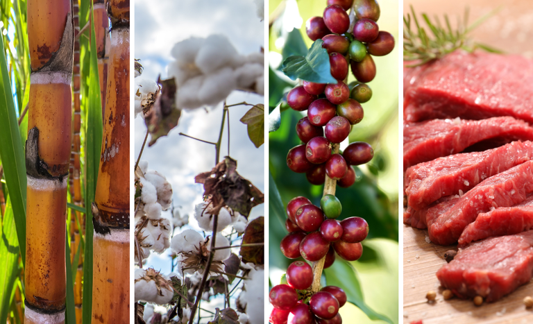 receita das exportacoes agricolas dispara us1163 bilhoes 1