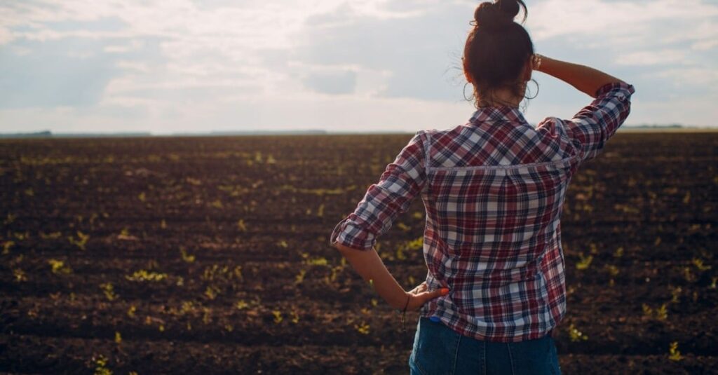 Reforma tributária: entenda os impactos das novas regras do ICMS na produção agropecuária no País