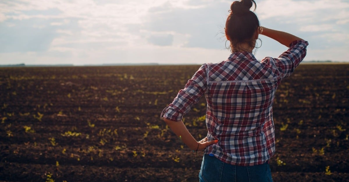 Reforma tributária: novas regras ICMS na produção agro.