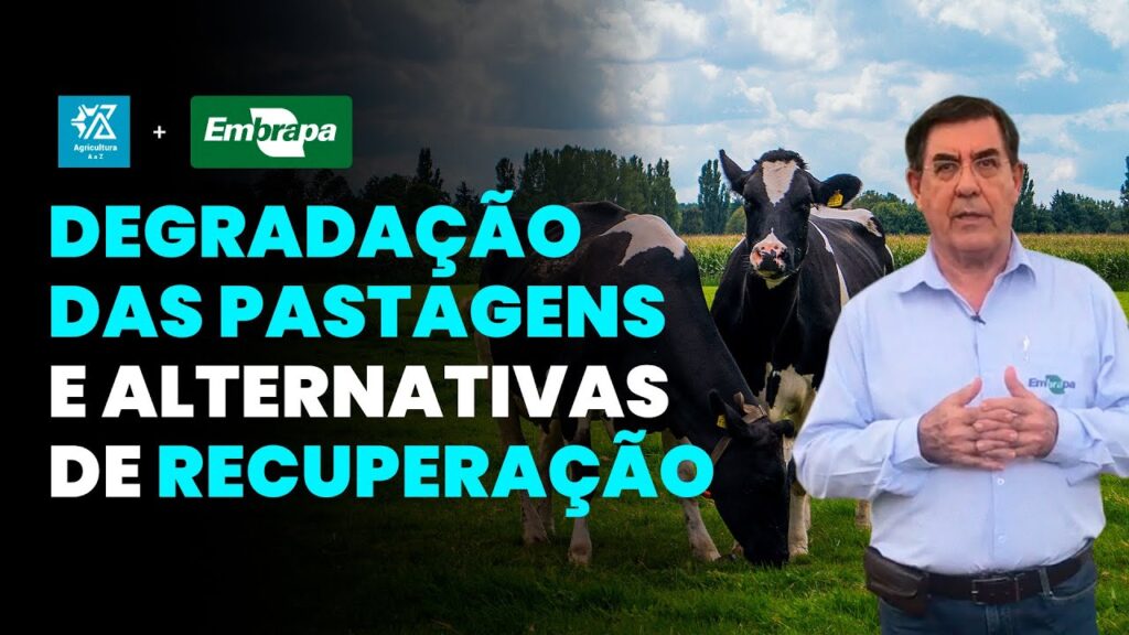 Renovação de Pastagens Degradas 15 renovacao de pastagens degradas