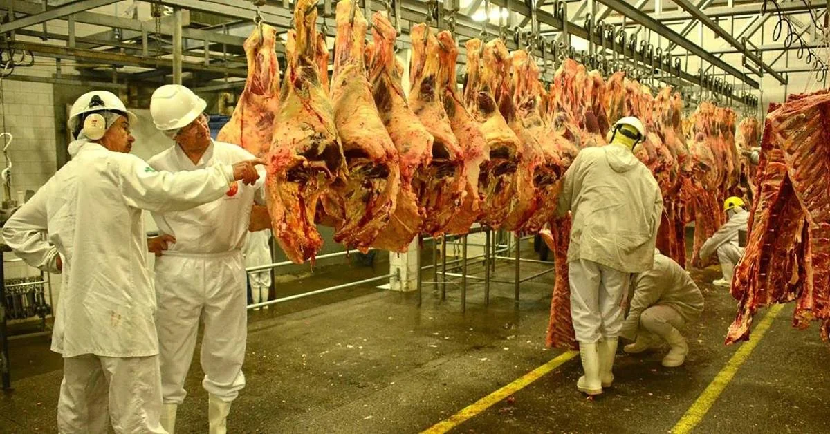 RS abre mercado de carnes das Filipinas. 5 Rio Grande do Sul terá acesso a mercado de carnes bovina, suína e aves das Filipinas • Portal DBO