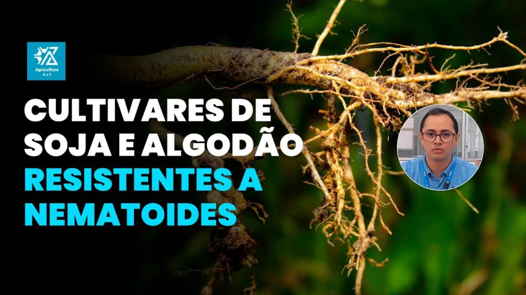segredos da resistencia a nematoides