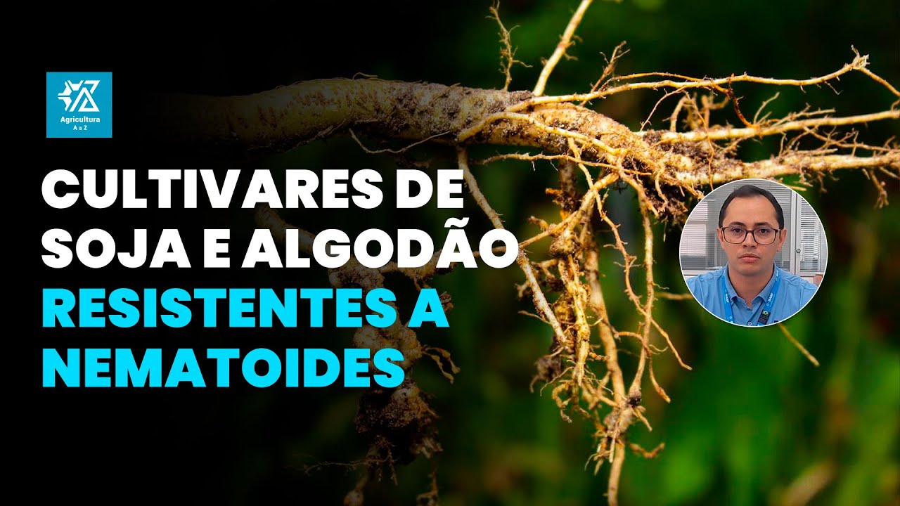 Segredos da resistência a nematoides