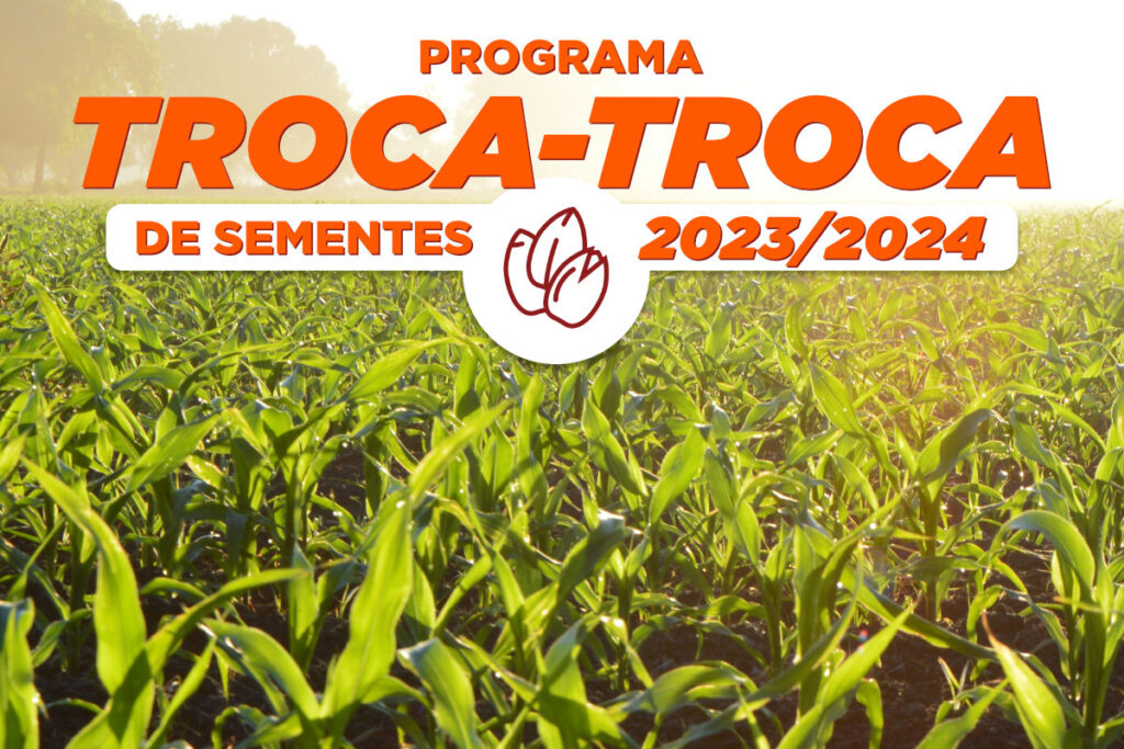 Sementes de milho e sorgo disponíveis! 12 Estão abertos os pedidos para aquisição das sementes de milho e sorgo referentes ao Programa Troca-Troca em Torres