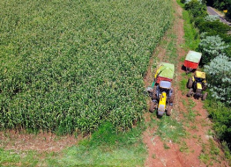 Severiano de Almeida inova com silagem – Rádio Aratiba 107.9 FM.