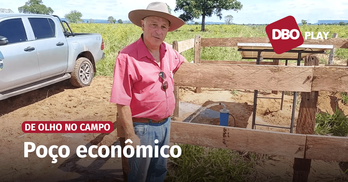 Solução econômica para hidratar o gado