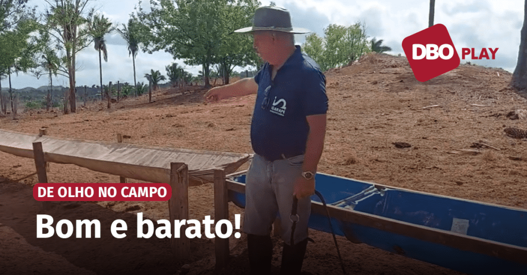 opções simples e práticas para a suplementação do gado; veja como fazer • Portal DBO