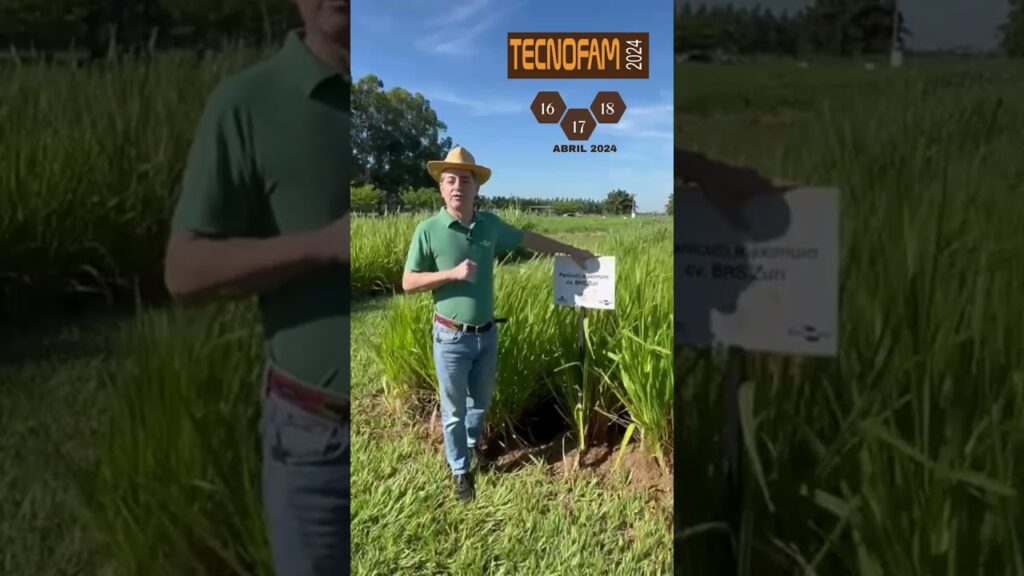 #Tecnofam2024 ā Tecnologias e Conhecimentos para Agricultura Familiar | Haroldo Pires - Embrapa 20 tecnofam2024 tecnologias e conhecimentos para agricultura familiar haroldo pires embrapa