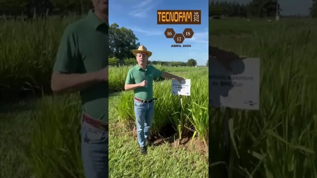 tecnofam2024 tecnologias e conhecimentos para agricultura familiar haroldo pires embrapa