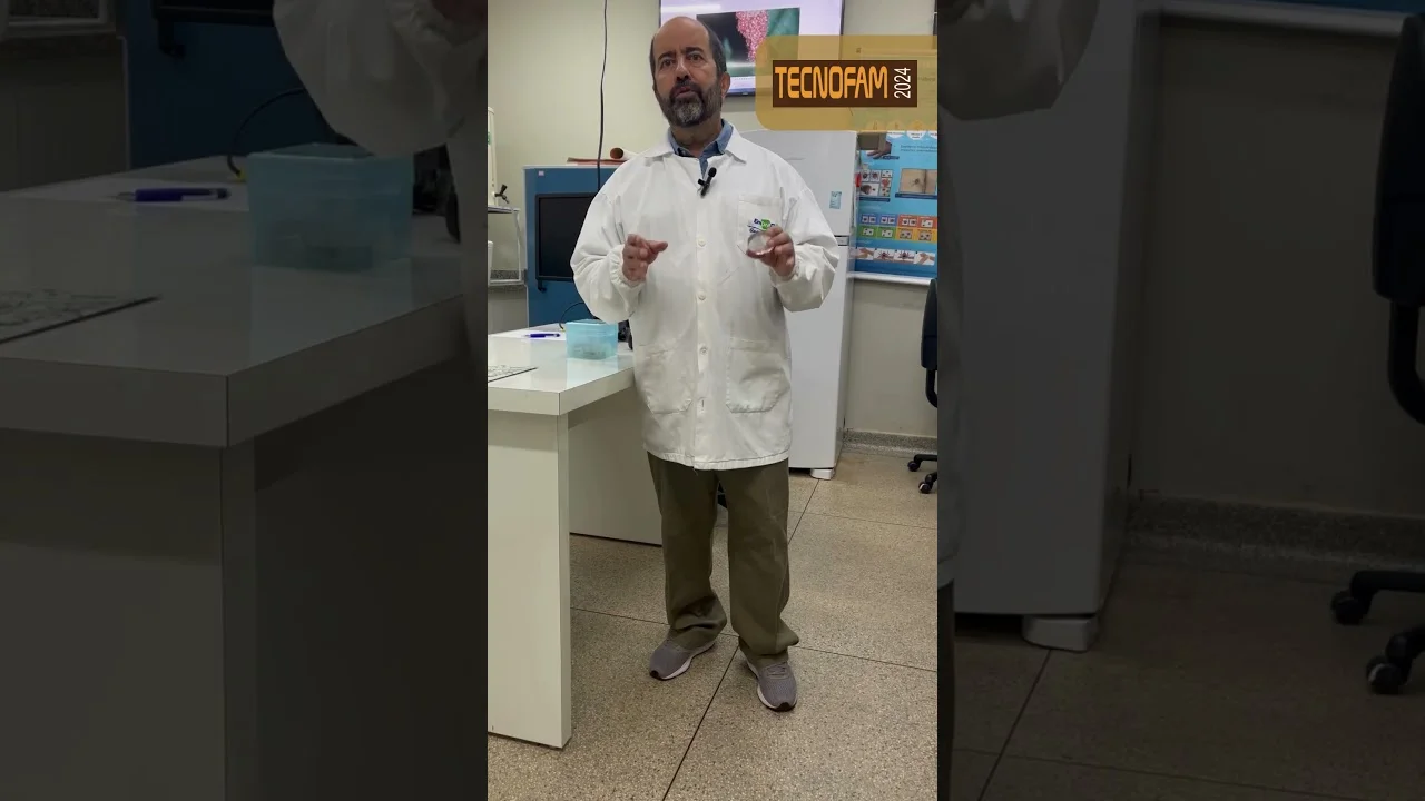 #Tecnofam2024 – Tecnologias e Conhecimentos para Agricultura Familiar | Renato Andreotti - Embrapa 7 tecnofam2024 tecnologias e conhecimentos para agricultura familiar renato andreotti embrapa