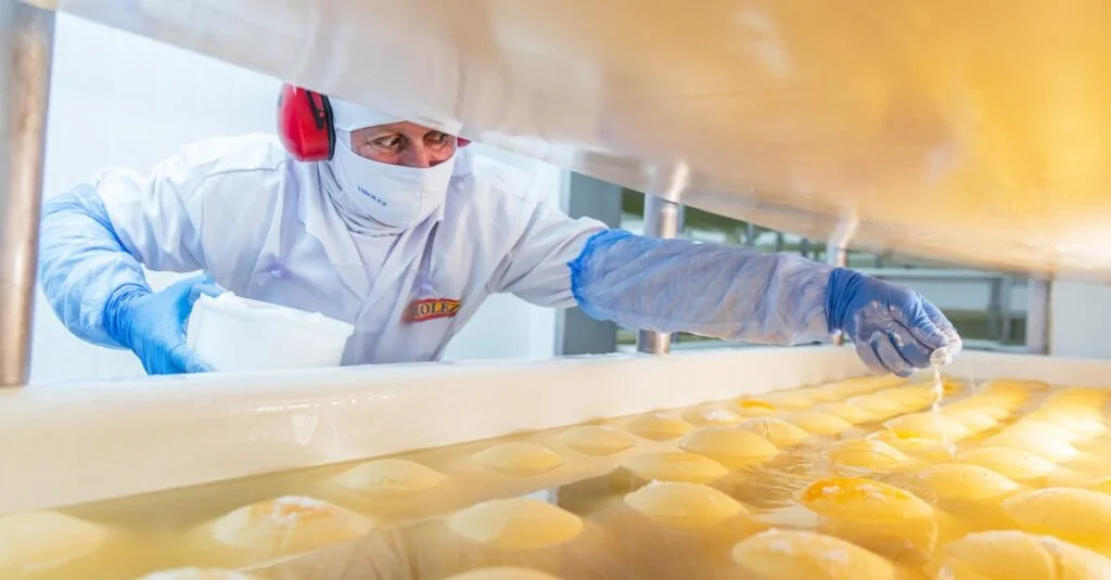 Tirolez- Venha descobrir os segredos da nova fábrica! 🧀 9 Gigante dos queijos inaugura fábrica de R$ 150 milhões em Santa Catarina
