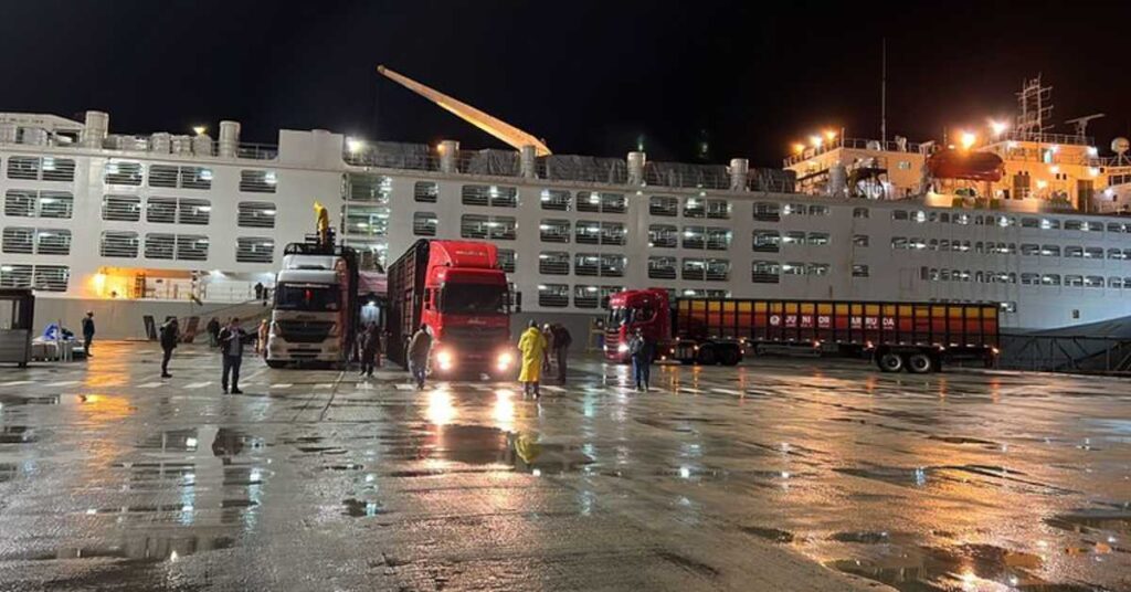 Turquia manifesta interesse em aumentar a importação de gado vivo do Brasil durante missão do Mapa • Portal DBO