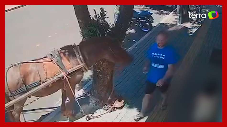 Vereador atacado por cavalo no Paraná