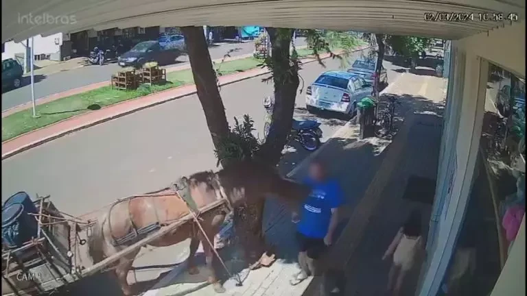 Vereador mordido por cavalo, o que aconteceu? 4 vereador é mordido por cavalo em calçada no Paraná