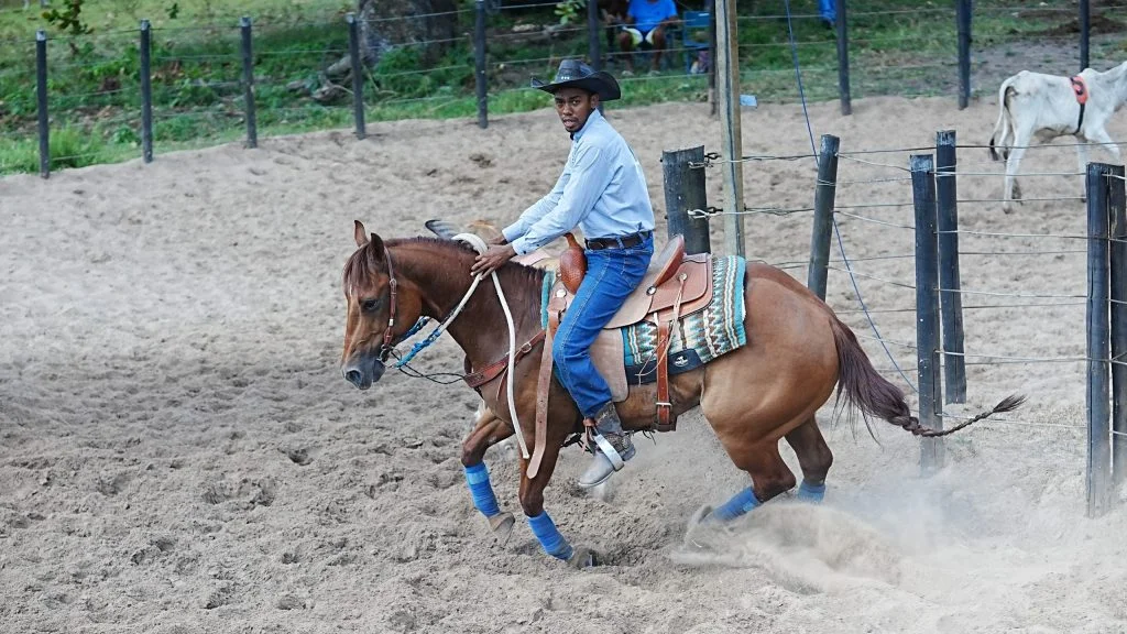 Wesley Safadão convida para agitar o Campeonato Alagoano de Ranch Sorting na Arena CPMF! 6 Com convite de Wesley Safadão, I Etapa do Campeonato Alagoano de Ranch Sorting promete agitar a Arena CPMF