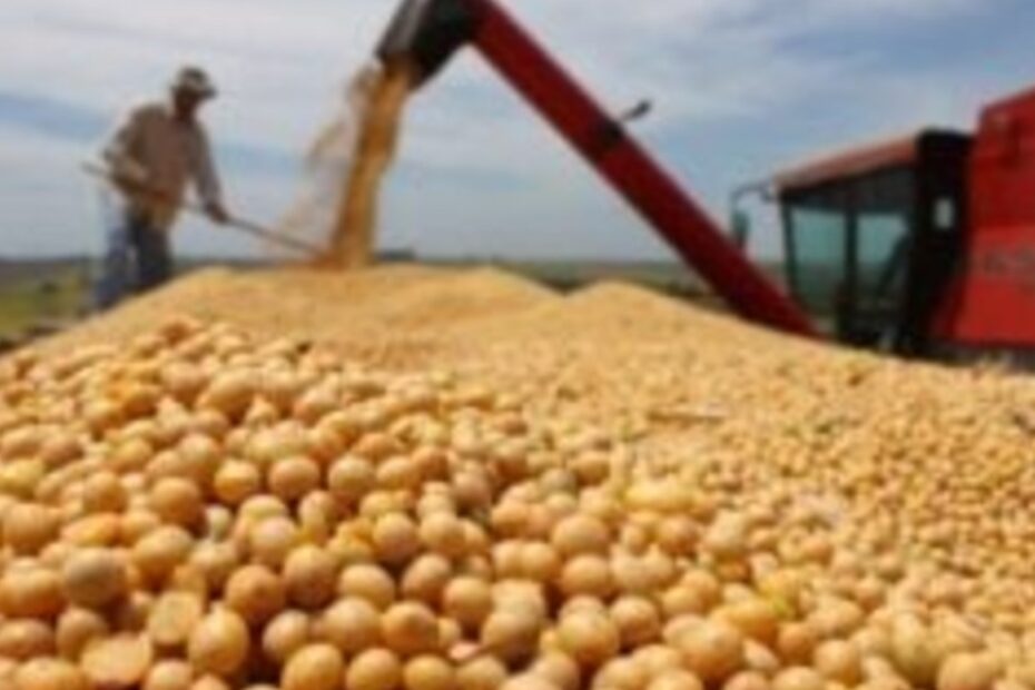 Destaque Rural - Exportações do agronegócio batem recorde no primeiro trimestre