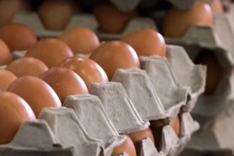 Brasil passa a exportar ovos para a Rússia e China habilita novas plantas frigoríficas para a carne de frango |
