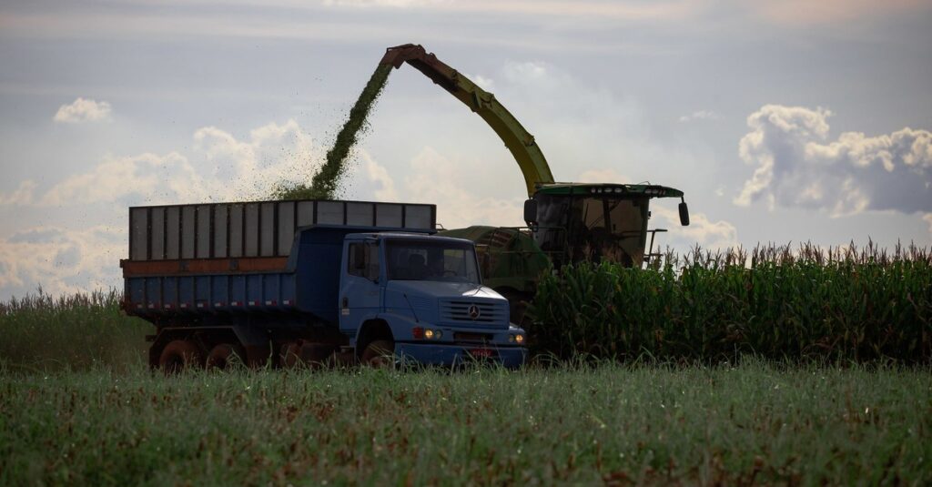 Índice de Preços ao Produtor cai 15,4% no primeiro trimestre do ano