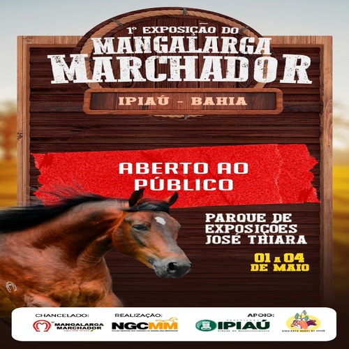 Venha Viver a Elegância do Cavalo Mangalarga Marchador em Ipiaú!