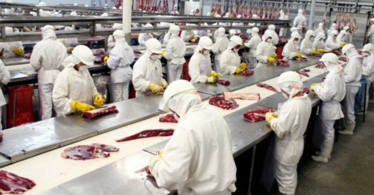 Doze empresas exportadoras de carne bovina confirmam presença no SIAVS • Portal DBO