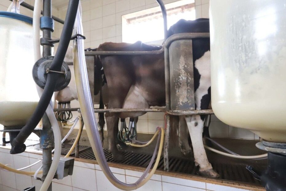 Destaque Rural - PR propõe mudanças para conter importação de leite em pó