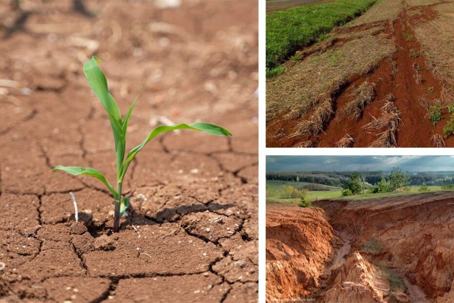 Você está visualizando atualmente O que é degradação do solo? Conheça suas causas e principais estratégias de recuperação