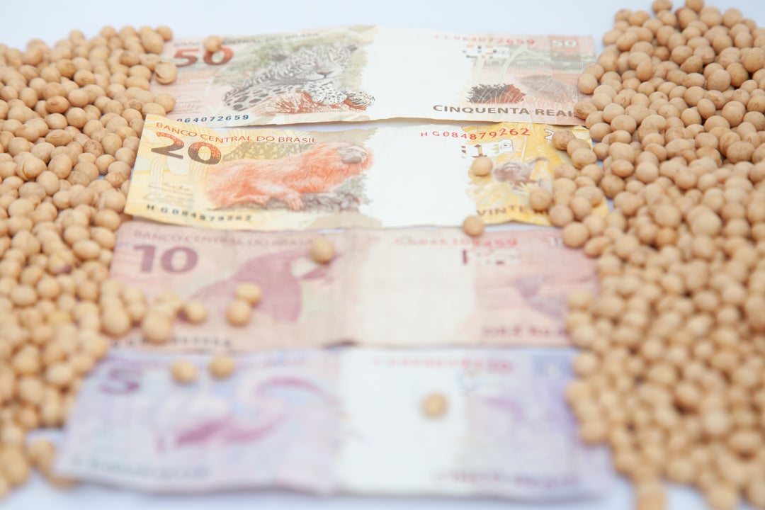 Confira os preços da soja no Brasil e em Chicago neste final de mês