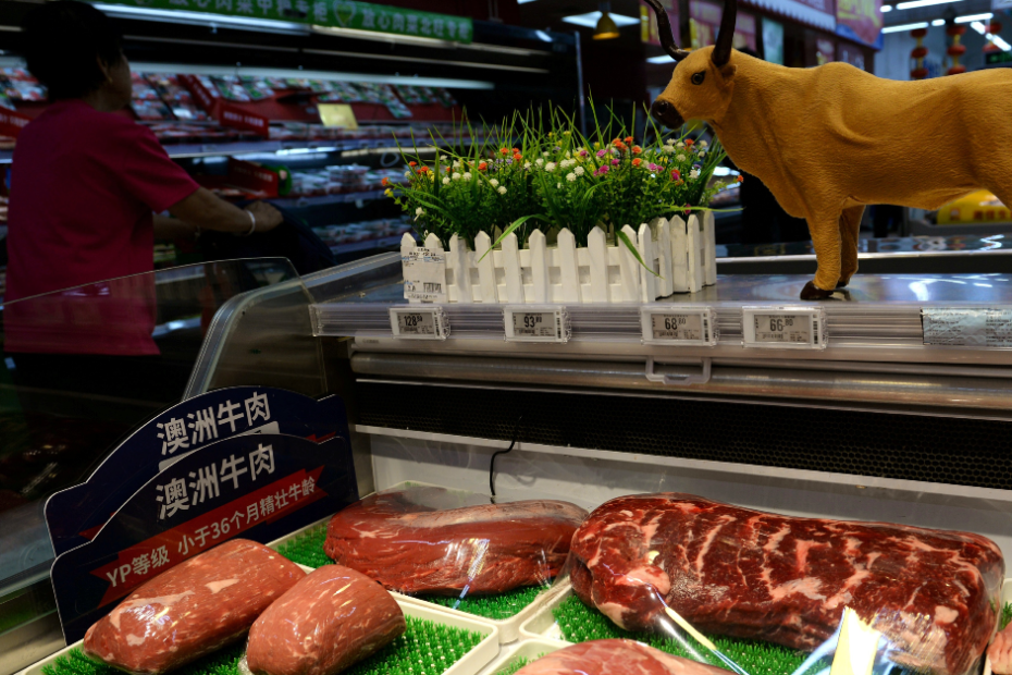 Missão técnica da Agricultura vai à China para discutir protocolo sanitário de proteína animal • Portal DBO
