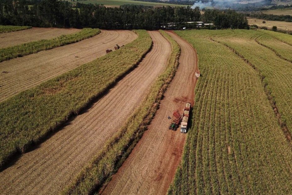 Destaque Rural - Paraná deve produzir 1,25 bilhão de litros de etanol na atual safra