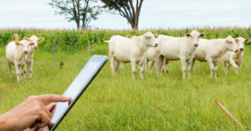 Defesa Agropecuária lança nova versão do Sistema Informatizado de Defesa Animal e Vegetal • Portal DBO