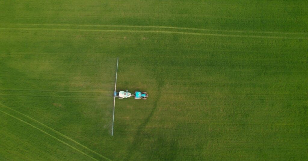 Glifosato para limpar o pasto de invasoras? Saiba os cuidados na hora da aplicação