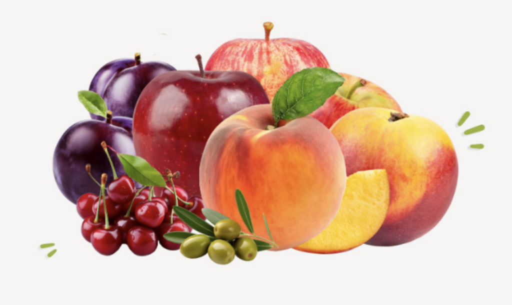 Agroalimentaria La Almunia: Referência regional em frutos de caroço