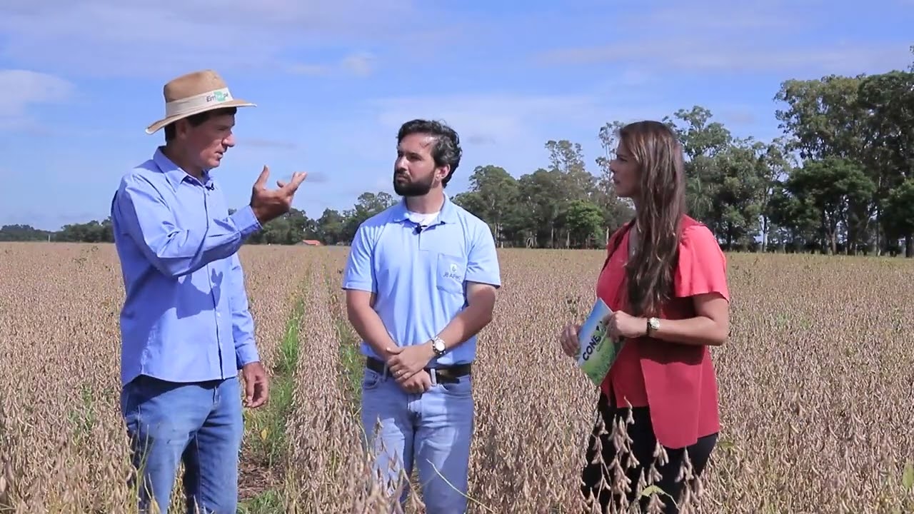 #Antecipasto  Consórcio de soja com pasto – entrevista