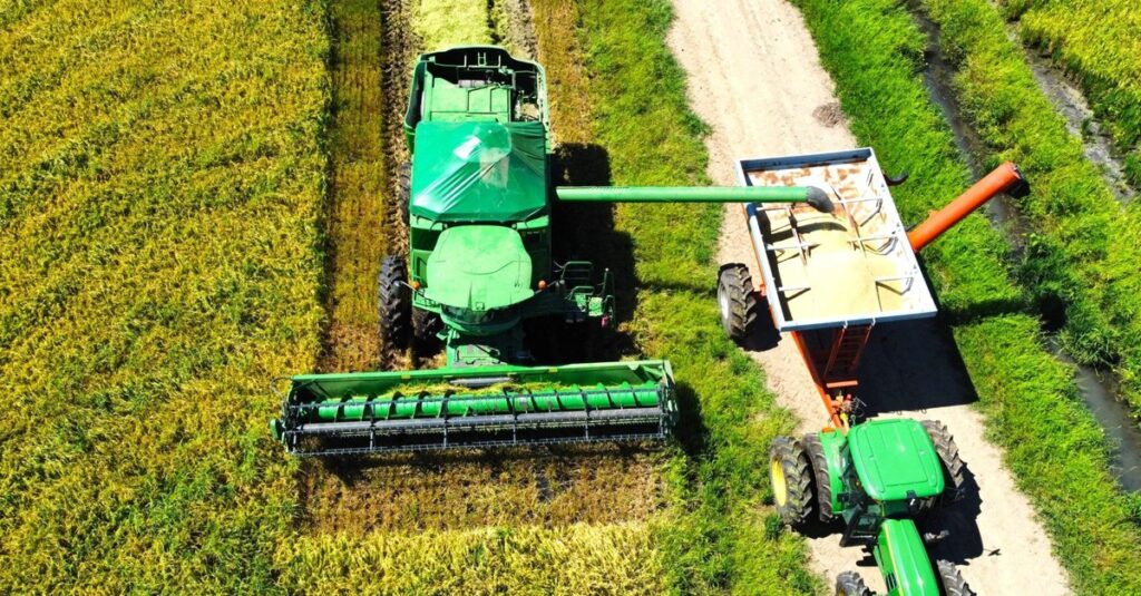 Arroz: Maioria da colheita concluída no RS 2 Arroz: 78% da área cultivada já foi colhida no RS