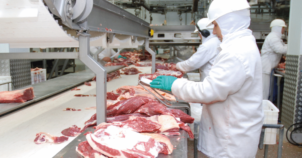 Balança comercial do agro paulista registra alta de 23,4% no 1º trimestre de 2024 • Portal DBO