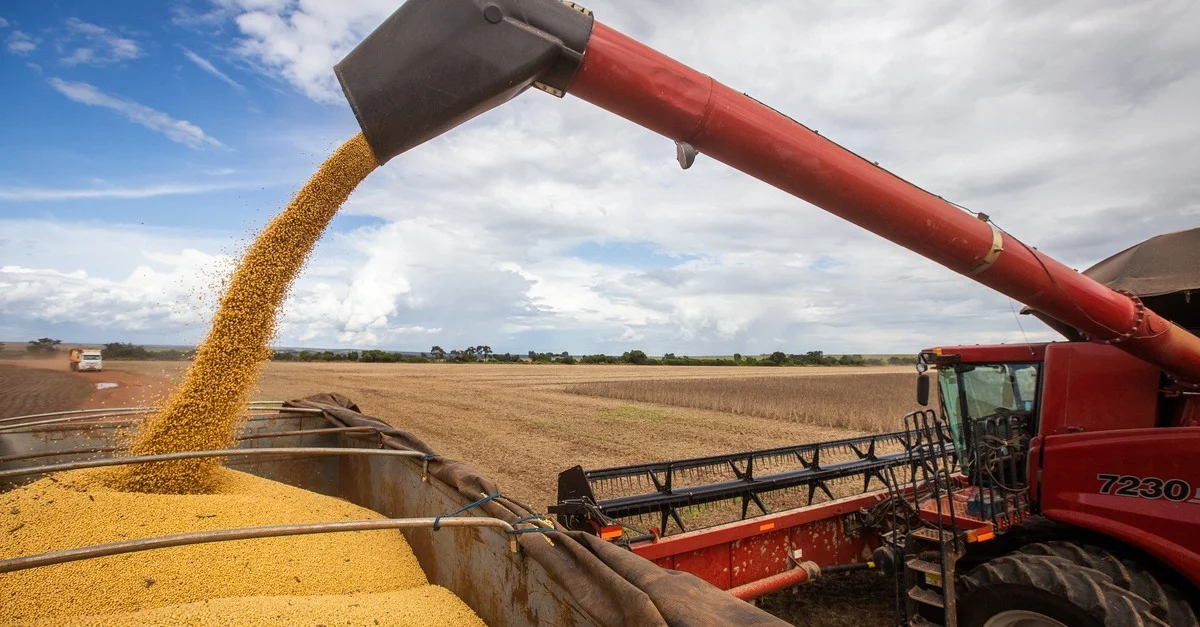 Boom da Soja: 2023 bate recordes de produção e exportação 21 Complexo soja atinge recordes de produção e exportação em 2023