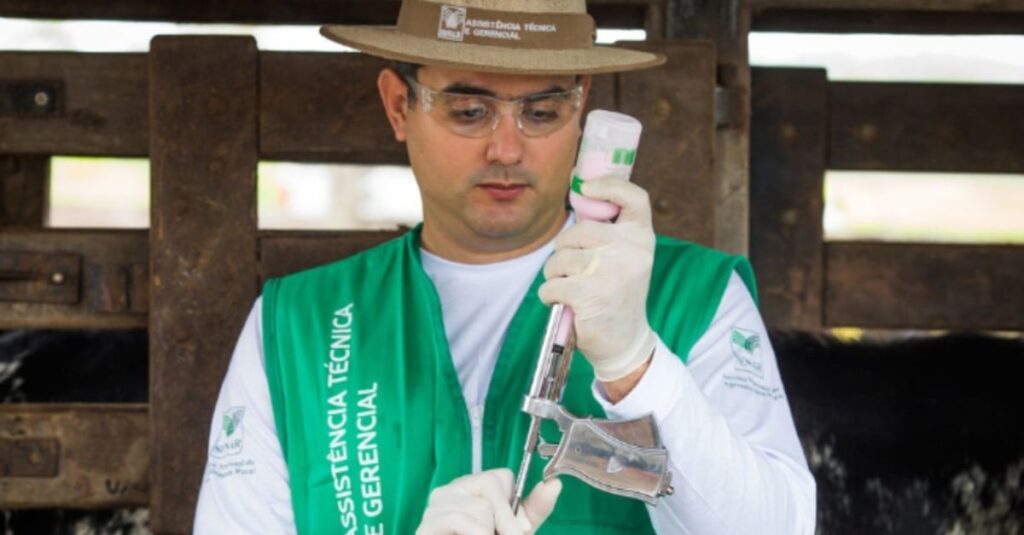 Brasil avança para se tornar território livre de febre aftosa sem vacinação até 2026