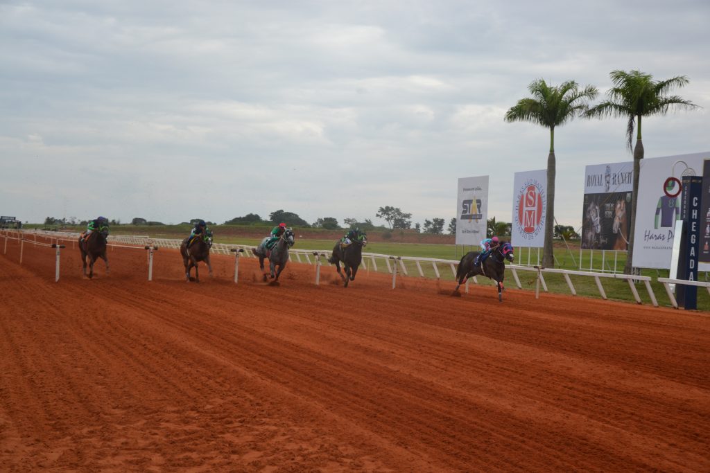 Bryan Perfection JQM vence GP Brazilian Futurity no Jockey Club Sorocaba
