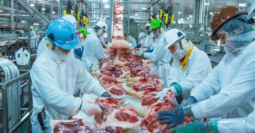 Carne bovina brasileira avança nos Estados Unidos mesmo diante de tarifa de 27% • Portal DBO