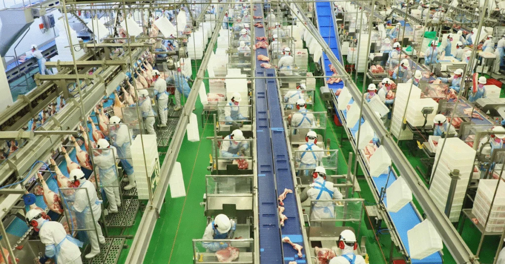 CEPEA: Poder de compra x farelo de soja - surpreenda-se! 4 CEPEA: Poder de compra frente ao farelo de soja é o maior desde nov/20