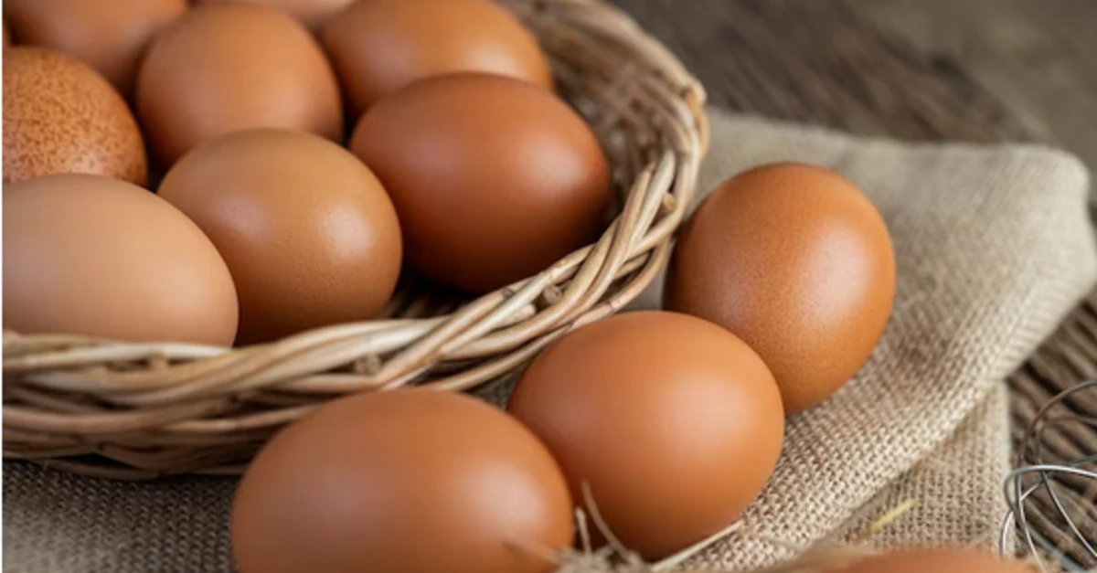 Cesta básica com ovo: acessível e nutritiva 9 Inclusão do ovo na cesta básica vai tornar alimento mais acessível, diz especialista