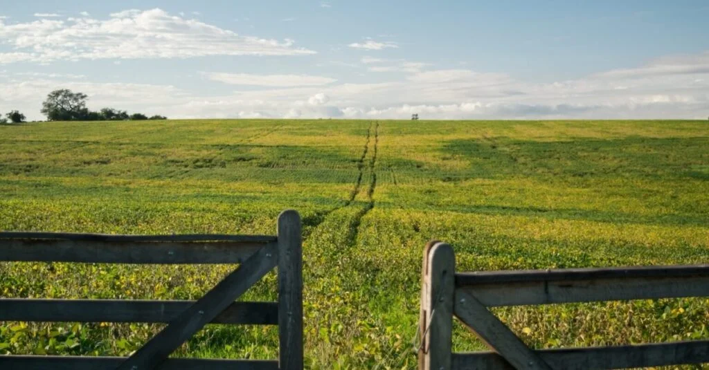 Chuvas- Previsão do tempo para abril no Brasil! 45 Como será o clima no Brasil em abril?