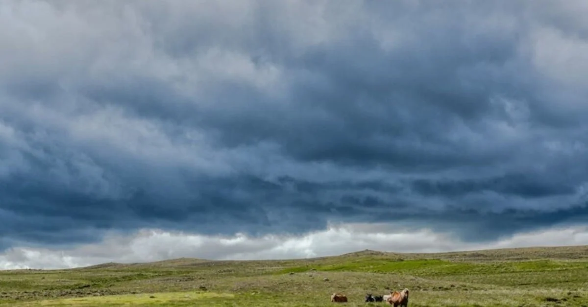 Abril revela perspectivas positivas no clima para agricultura e pecuária. Confira