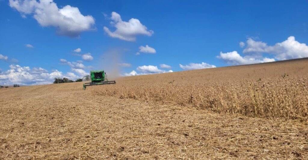 Colheita da soja atinge 50% da área no RS 2 Colheita da soja se aproxima da metade da área cultivada no RS