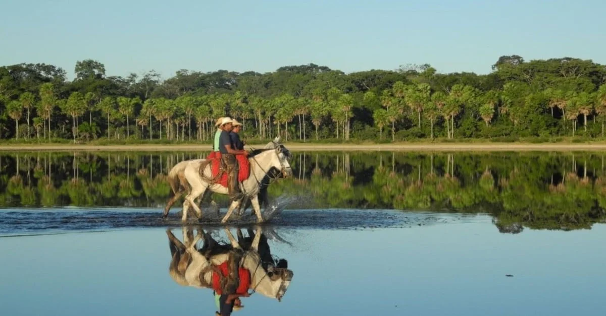 Nova Lei do Pantanal prevê uso racional da água e revisão do CAR. Entenda