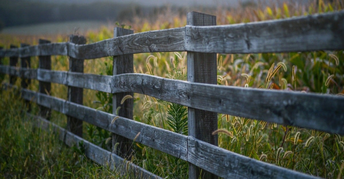 Conflitos no campo batem recorde em 2023: por que?